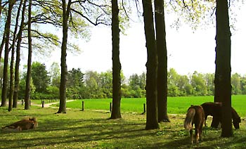 Hotel Pension Haus Stallmeister Aussicht Ost